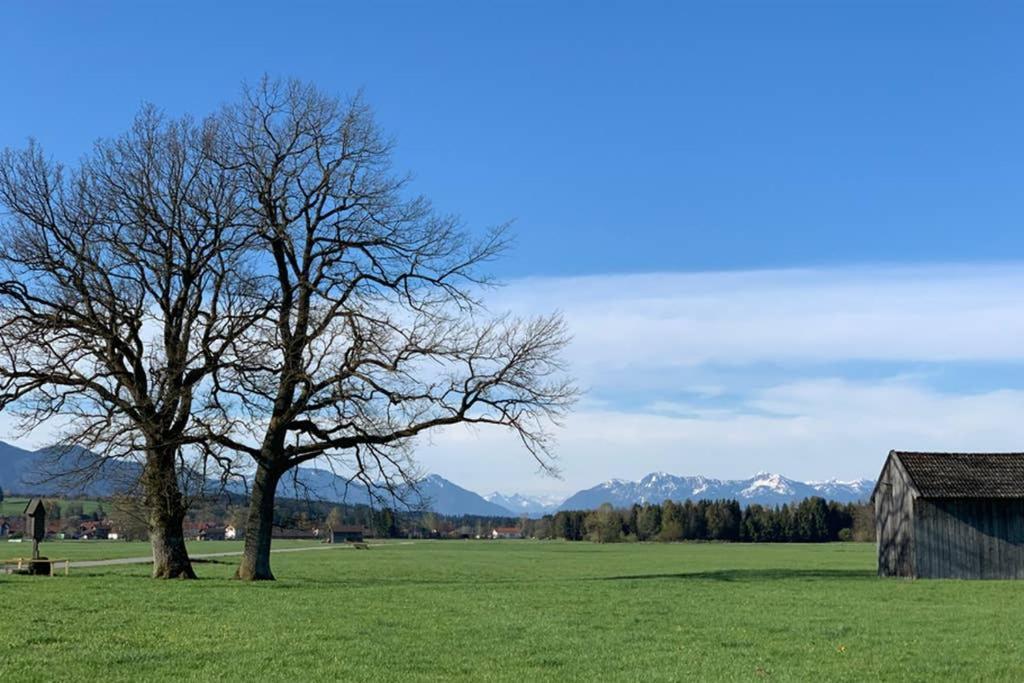 Ferienhaus Koenigsdorf - Urlaub Im Toelzer Land Konigsdorf 외부 사진